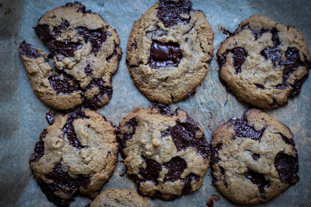 keto low carb chocolate chip cookie