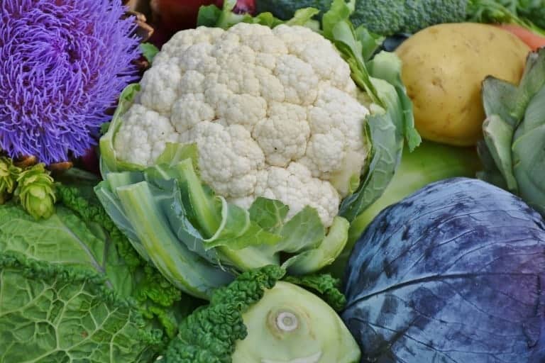 brightly colored cauliflower and cabbage