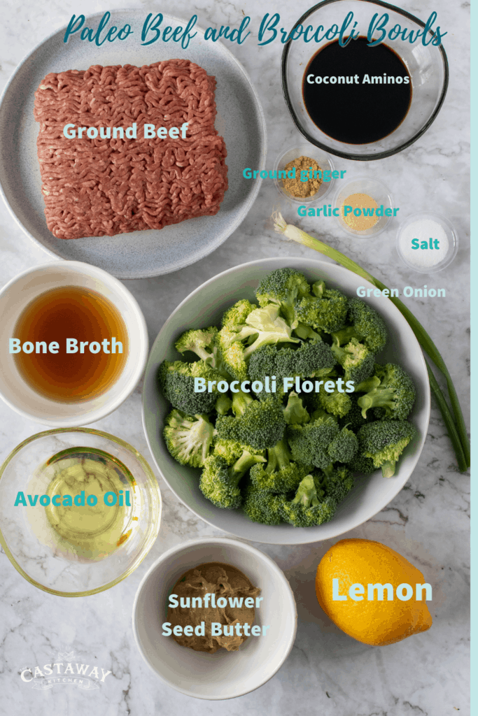 paleo beef and broccoli ingredients 