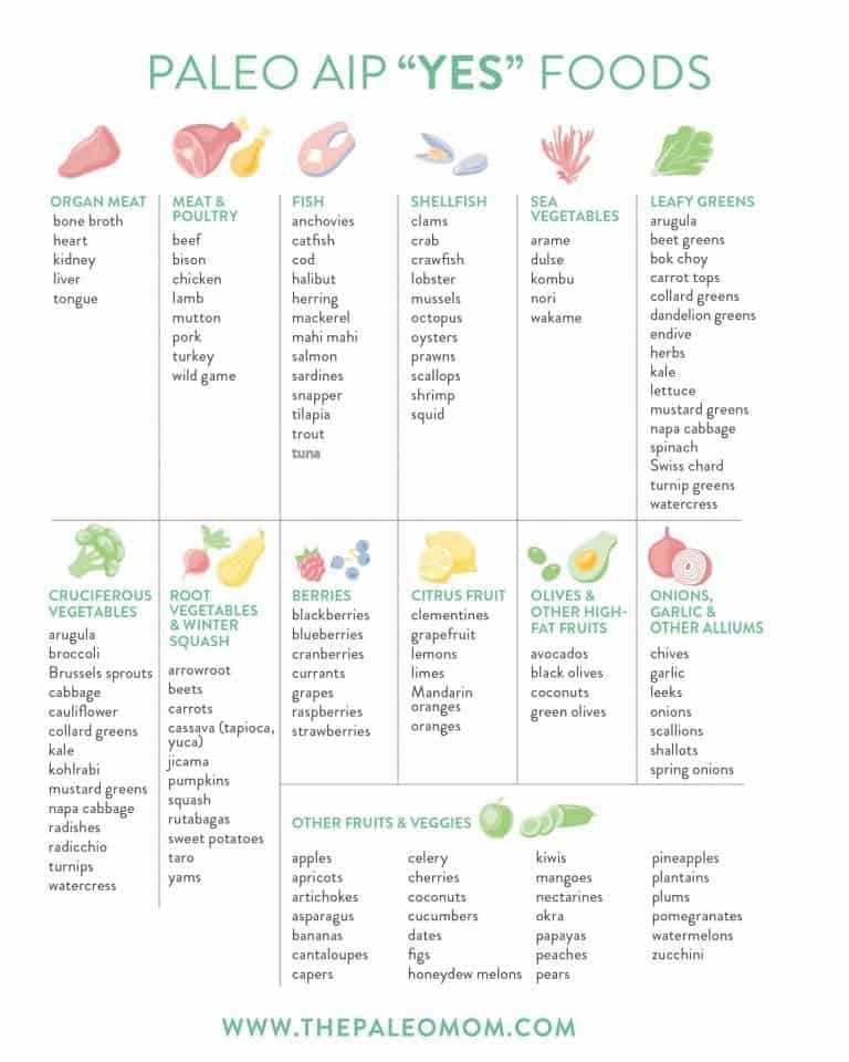 What is the AIP A complete guide to the autoimmune protocol