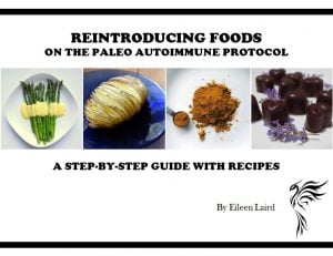 What is the AIP Diet? A complete guide to the autoimmune protocol