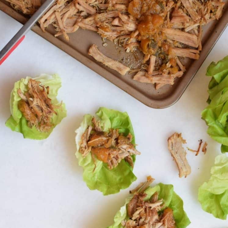 pressure cooker pulled pork