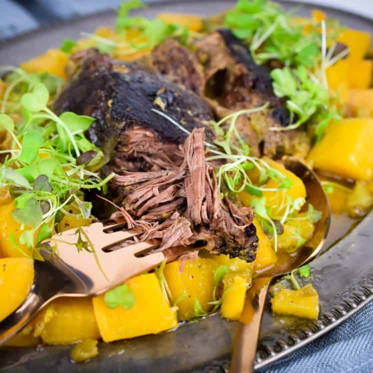 Instant pot discount paleo pot roast