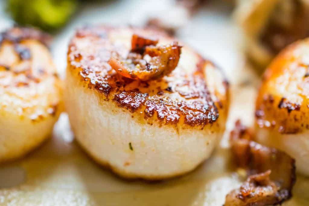 seared scallops 