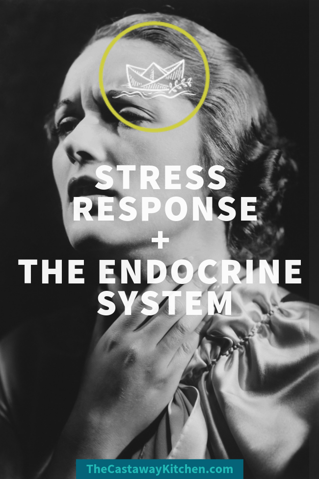 stress thyroid connection 