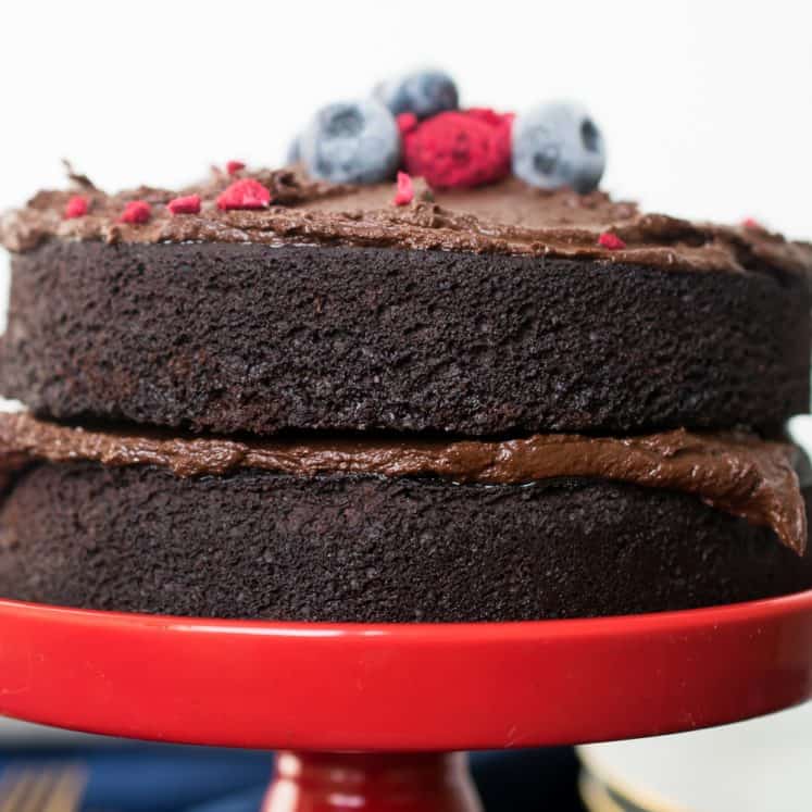 Low Carb Chocolate Cake Dairy Free Nut Free Keto Paleo