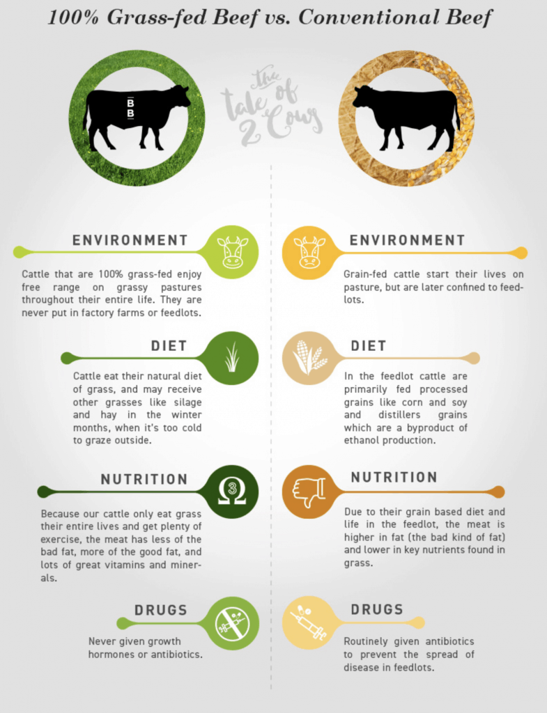 Grass-fed beef benefits