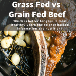 is grass fed beef better