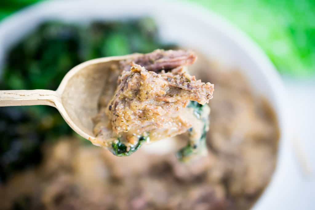 Shredded Beef with Mushroom Gravy (Dairy Free, Nut Free, Coconut Free, Egg Free)