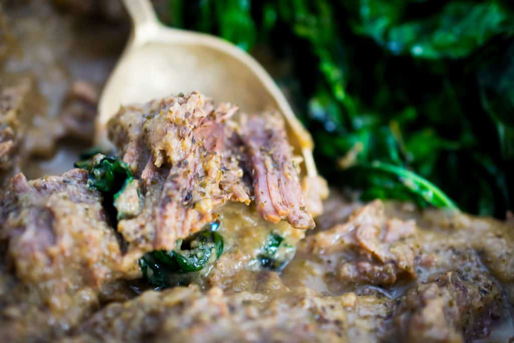 Shredded Beef with Mushroom Gravy (Dairy Free, Nut Free, Coconut Free, Egg Free)