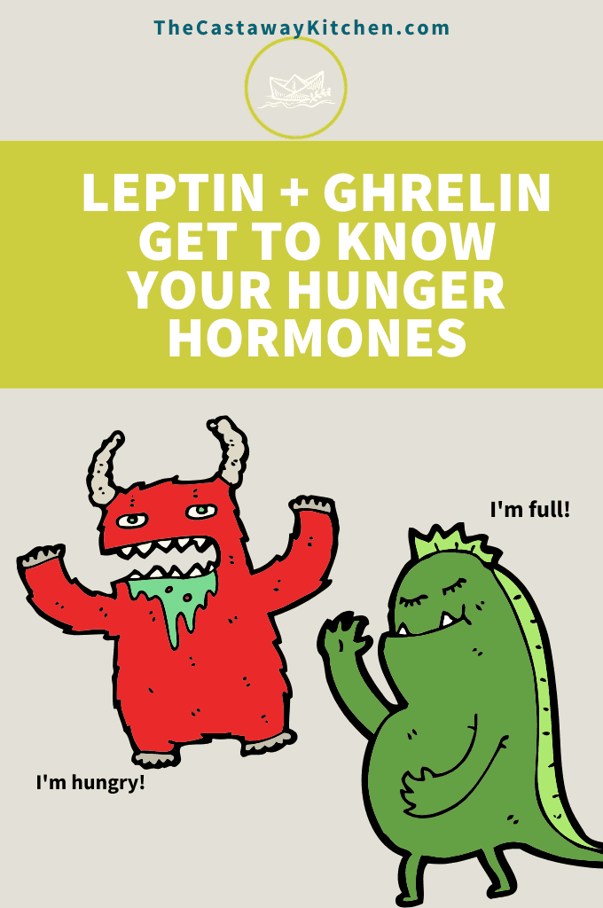 hunger hormones 