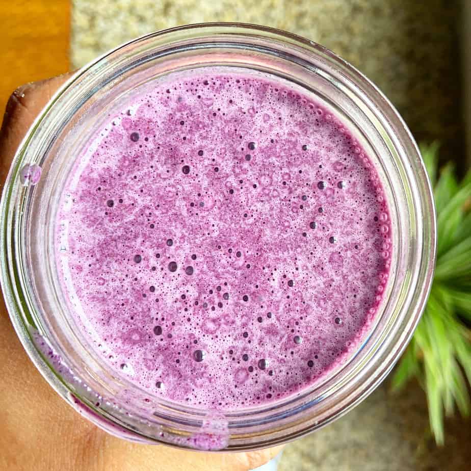 Gut Healing Blueberry Smoothie The Castaway Kitchen