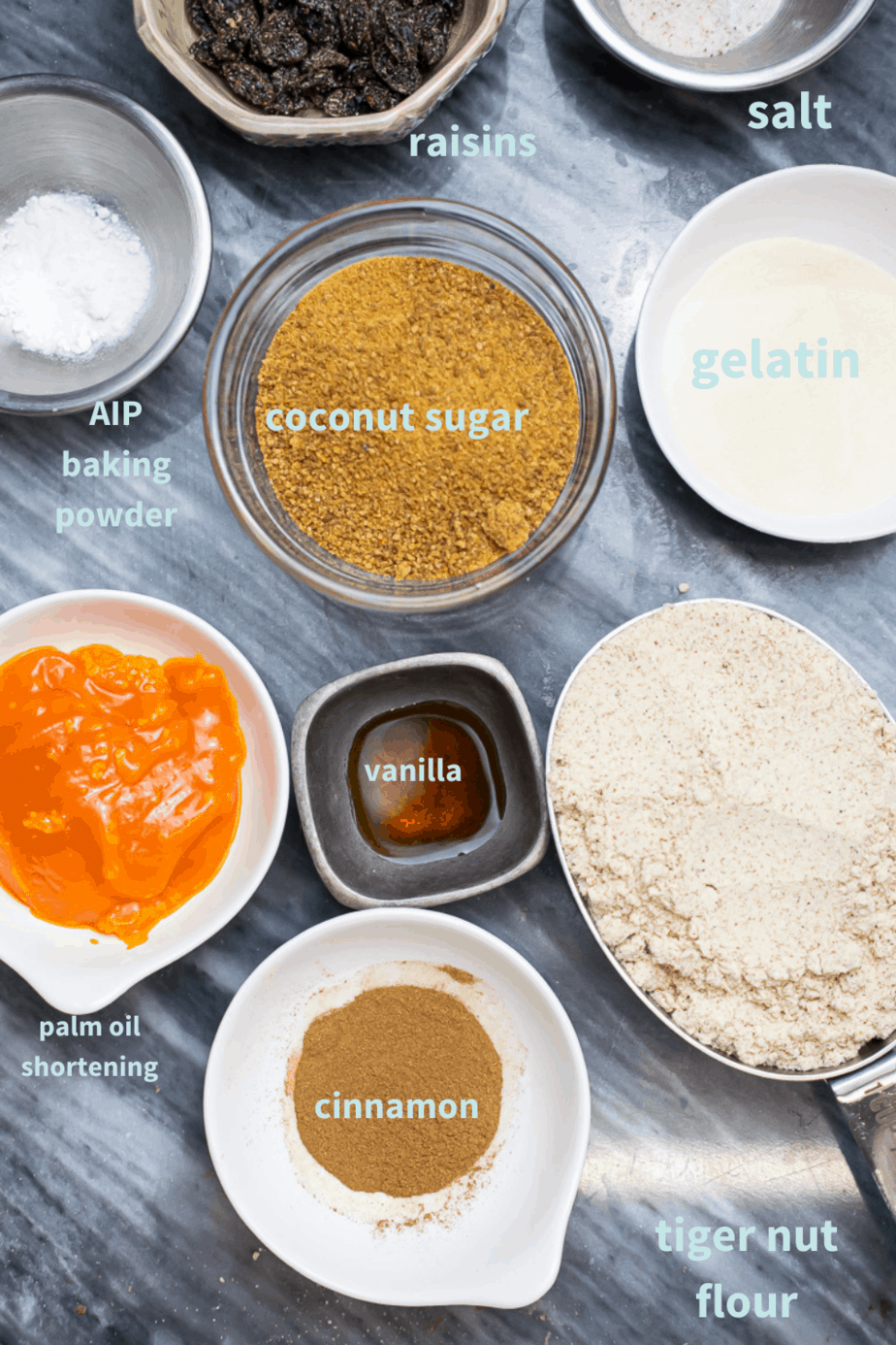 ingredients for AIP cookies laid out on counter top; raisins, salt, gelatin, aip baking powder, coconut sugar, vanilla, palm oil shortening, cinnamon, tiger nut flour 