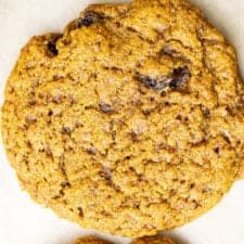 AIP Oatmeal Raisin Cookies (grain free, paleo, gluten free)