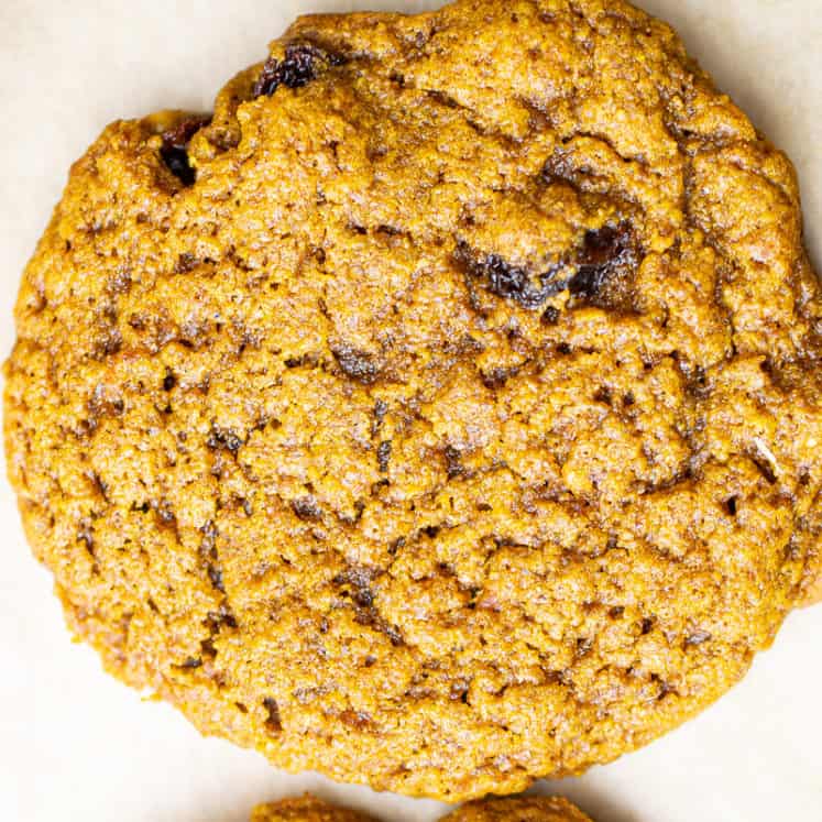 paleo oatmeal raisin