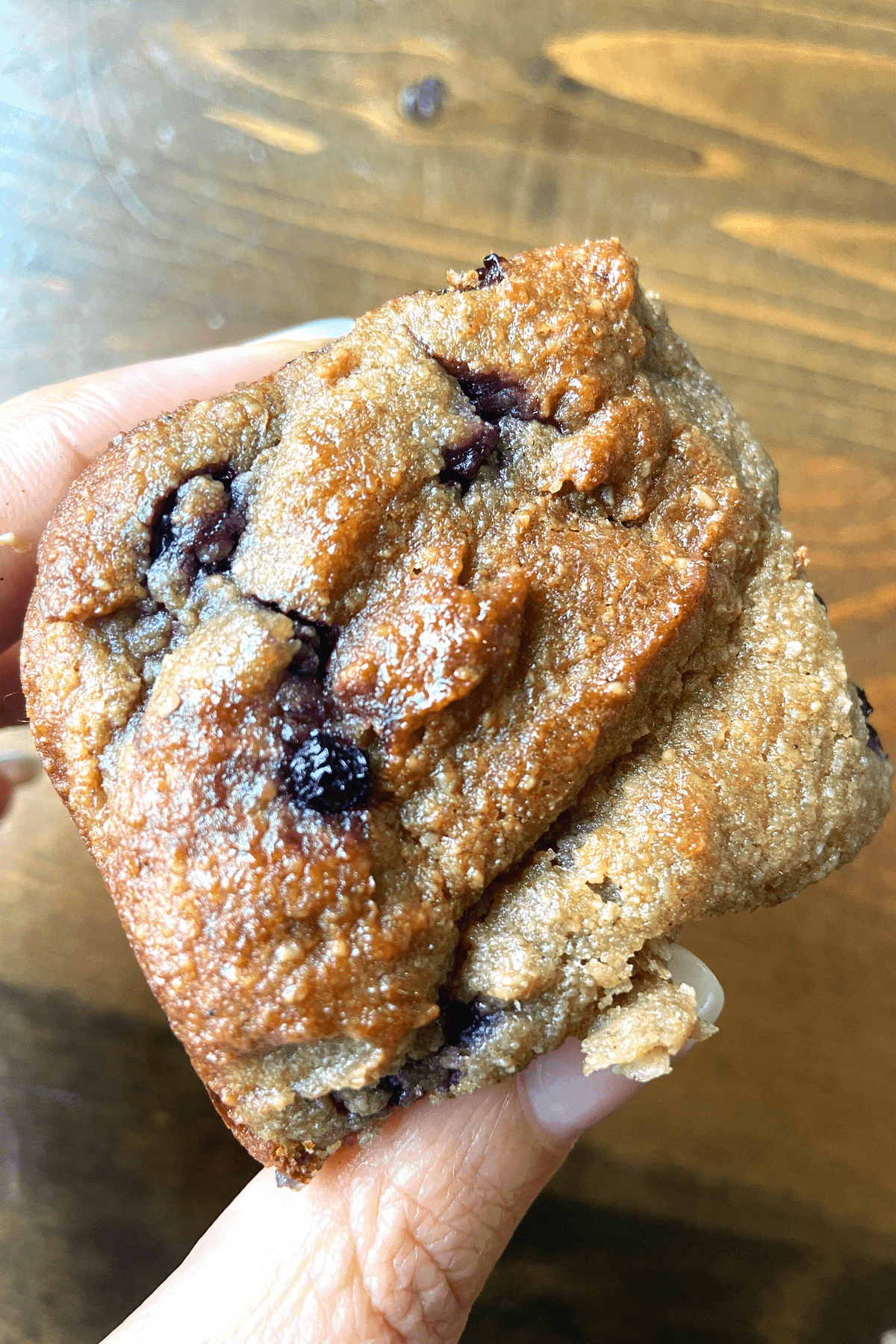 golden toasted blueberry bread roll being held between two fingers