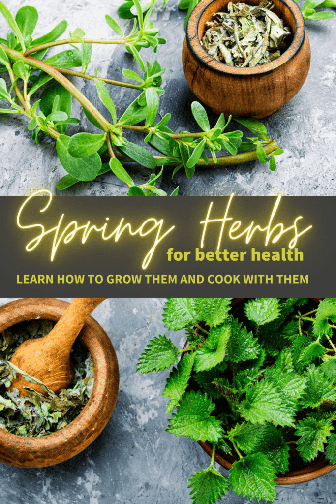 The Power of Herbs and Spices: Cooking Your Way to Better Health