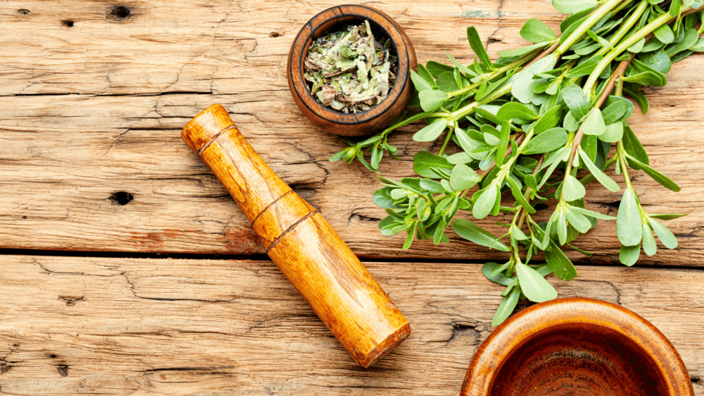 bunch of purslane herbs with a wooden mortar and pestle on a wooden board