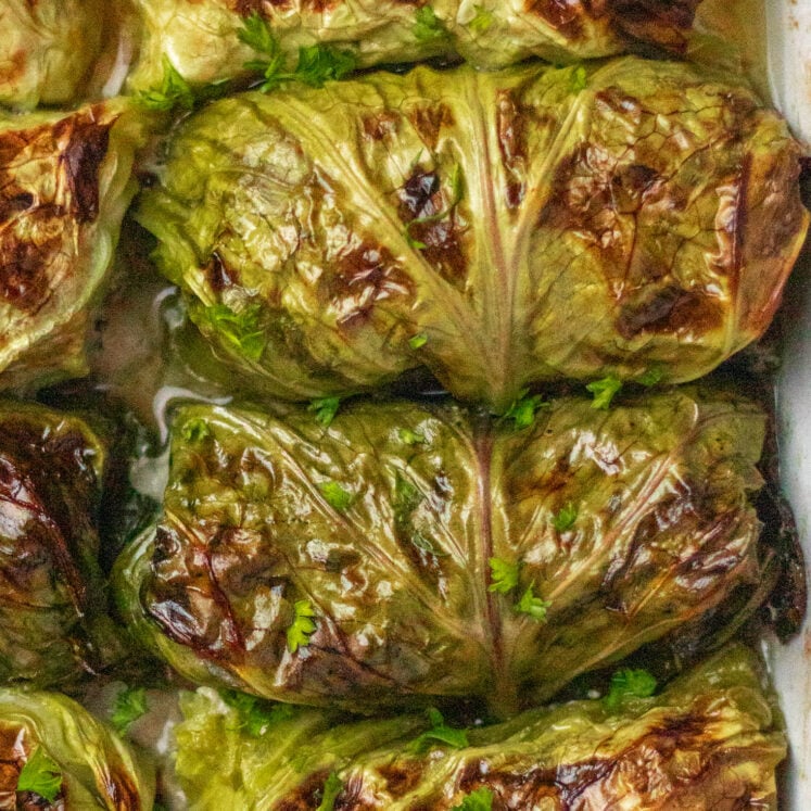 Nightshade-Free Cabbage Rolls